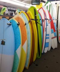 The Frog House Surf Shop