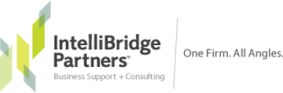 Intellibridge Partners LLC